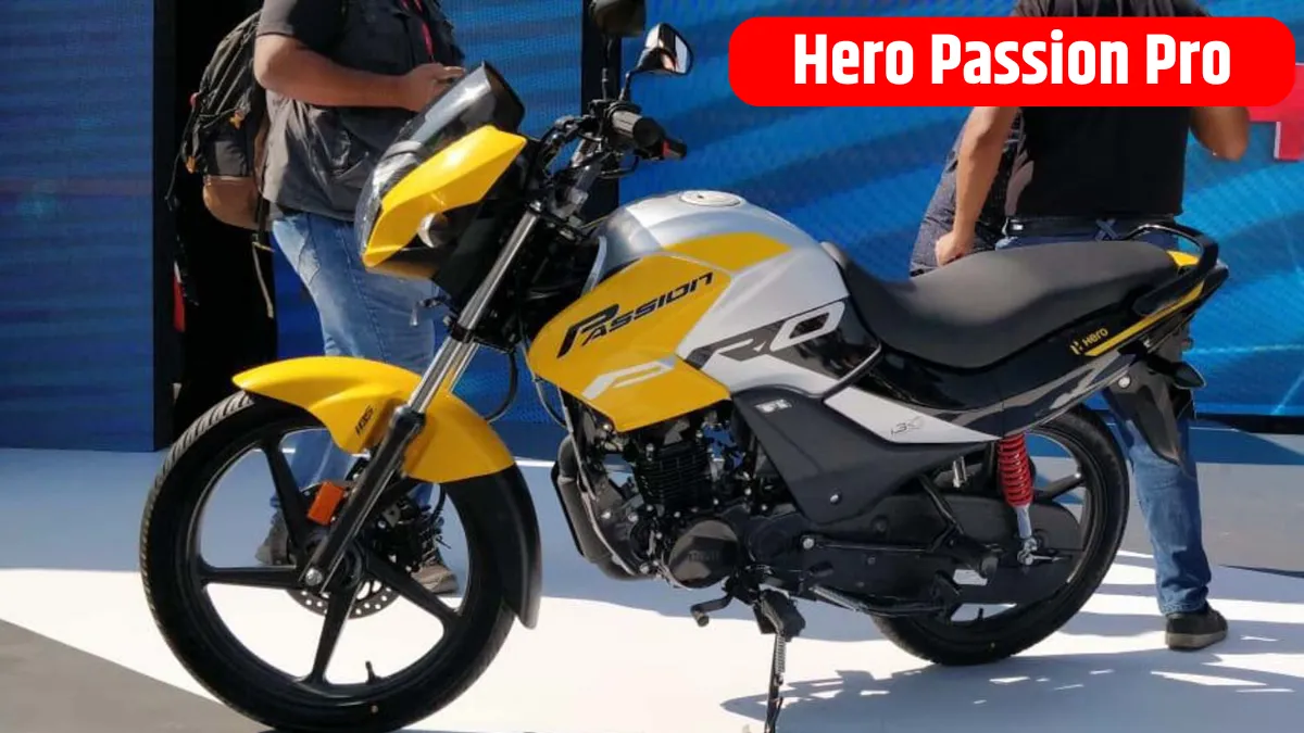 Hero Passion Pro